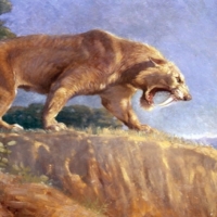 saber toothed tiger