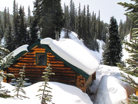 Winter At Jasper NP, Canada - cabin, landscape, trees, snow