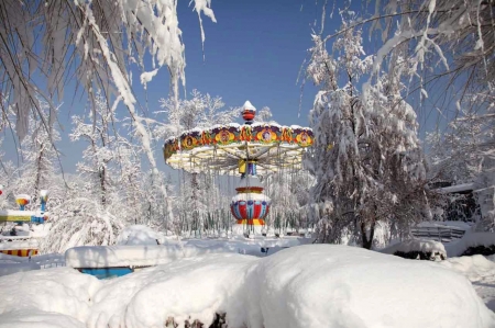 Frozen Funfair - ice, caroussell, trees, snow