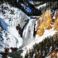 Lower Falls - Yellowstone National Park