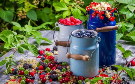 Berries - cranberry, raspberry, berry, fruits, summer, food, blueberry, berries