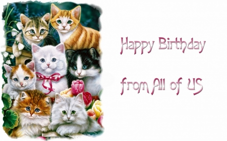 Bithday Wish - wish, kittens, card, birthday