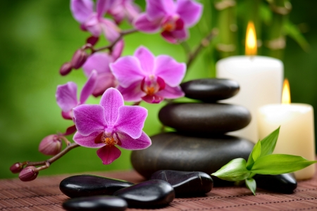 Spa concept - candle, orchid, still life, beautiful, pink, leaves, spa, stones, bamboo, zen, relax, flower, concept