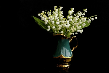 Still Life - white, flowers, still life, vase