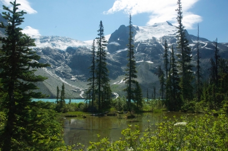 canada - fun, canada, nature, forest, cool, mountain