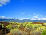 Canary Islands