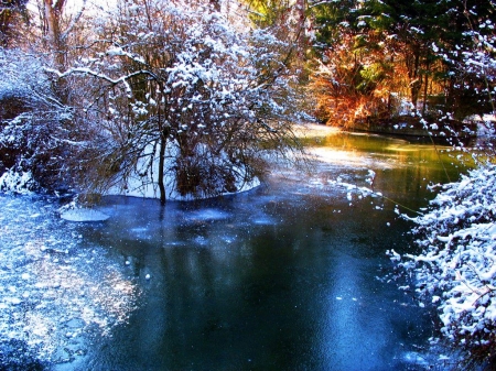 Winter Wonderland - ice, water, snow, colors, tres, light, reflection