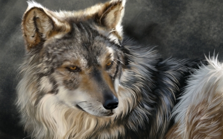 Wolf - animal, wolf, painting, digital, art