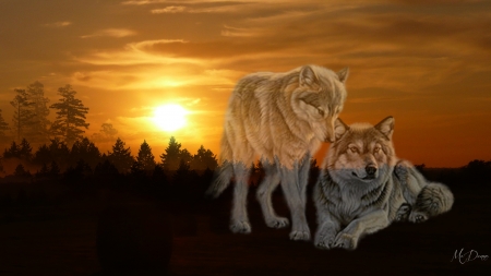 Wolves Sunset III - wolves, lobo, mates, collage, trees, wild, sunset