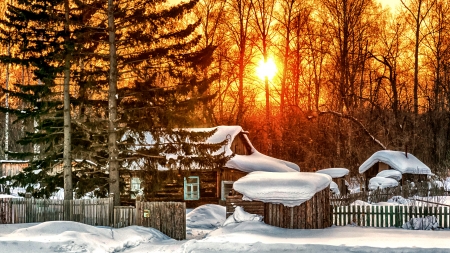 Winter cottage - cottage, snow, pine, sun, winter