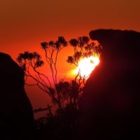 Table Mountain,South Africa