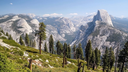 half dome joy - fun, nature, forest, mountains, cool