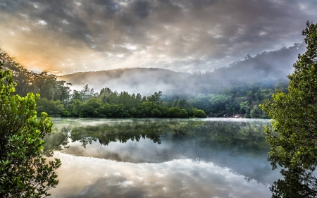 misty sunset - nature, fun, lake, cool, forest, sunset