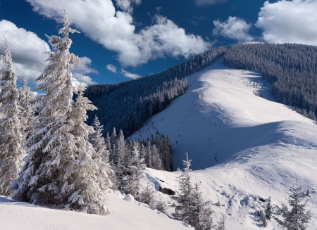 Winter Mountains - forest, firs, landscape, clouds, trees, snow