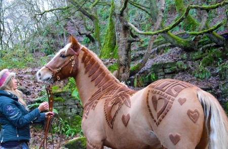 Woman and beautiful trimmed horse - horsentrimmed, woman, pretty, girl, forest, female, photography, beautiful