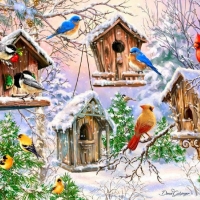 Winter Birdhouses