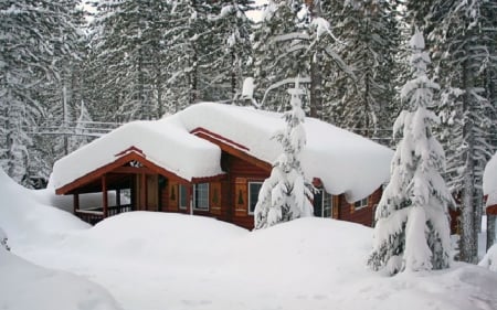 Cabin in Winter - cabin, fores, trees, snow