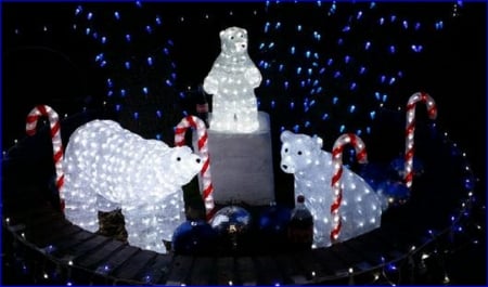 christmas 3 - polar bears - holidays, decorations, night, outdoor, christmas, lights, polar bears