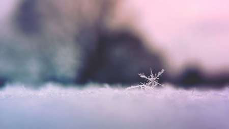 Snowflake - winter, nature, snowflake, snow