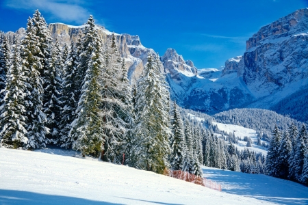 Winter slope - trees, hills, winter, beautiful, snow, landscape, slope, forest, mountain, cliffs, sky, rocks