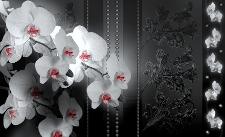 Floral background - orchids, background, lovely, pretty, floral, wall, beautiful, abstract design, white on black, flowers