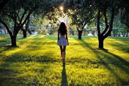 Lovely Morning - woman, nature, sunlight, trees