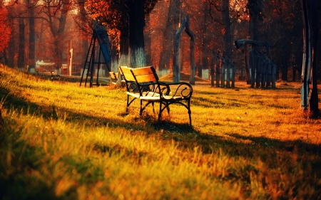 Bench - nature, bench, amazing, beautiful