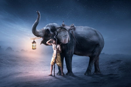 Elephant and man - animal, art, elephant, man