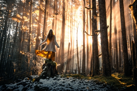 Sunlight - woman, rays, lady, trees, forest, woods, sunlight