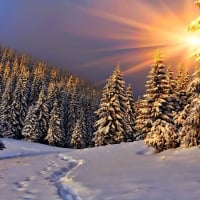 Sun Rays in Winter