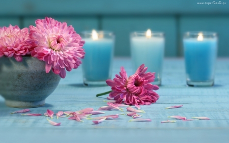 Ocean Blue - aqua, blue, colored, mums, candles, ocean