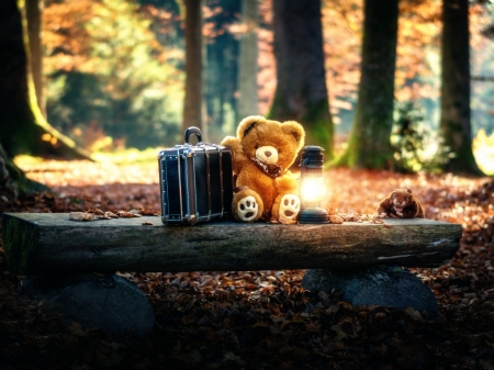 â™¥ - toy, abstract, cute, forest