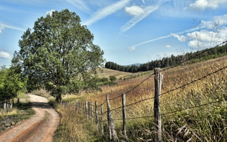 Road - road, nature, amazing, beautiful