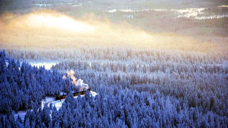 Steam Train in Winter - clouds, trees, snow, forest, sky