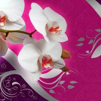 Orchids background