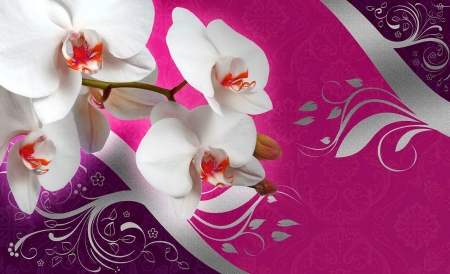 Orchids background - orchids, pretty, background, macro, beautiful, wall, flowers, lovely