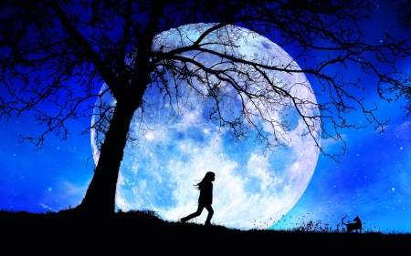 Follow me! - moon, blue, girl, silhouette, night, cat, fantasy, animal, full, luminos, luna