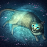 Magic moon cat