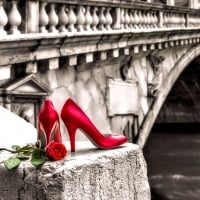 Red Shoes and Rose