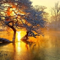 Fog over the Winter River