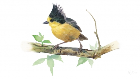 Tufted Watercolor Bird - painting, tufted, watercolor, tree, summer, spring, bird