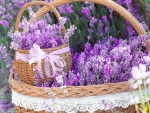 Basket of Flowers