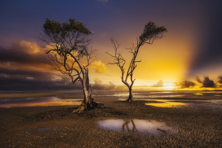 Sundown - nature, sunset, landscape, trees