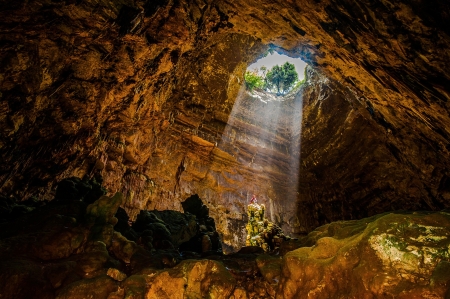 Cave - plants, cave, nature, rays