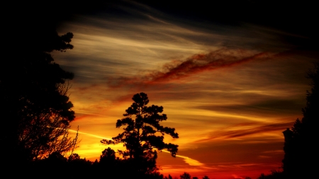 Winter Sunset - winter, tree, sunset, cloud