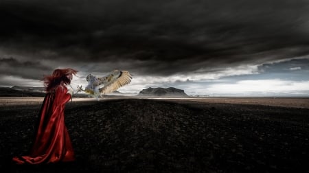 Lady in Red - sky, red, bird, woman