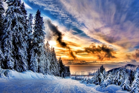 Beautiful Winter View - winter, trees, nature, sunset