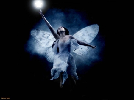 gothic butterfly fairy - butterfly, girl, fairy, gothic