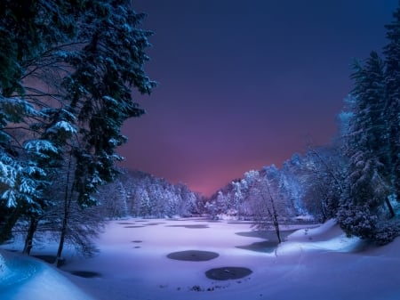 Winter Lake - nature, lake, trees, forest, snow, night, winter