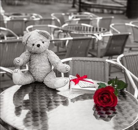 ♥ - rose, flower, photography, teddybear